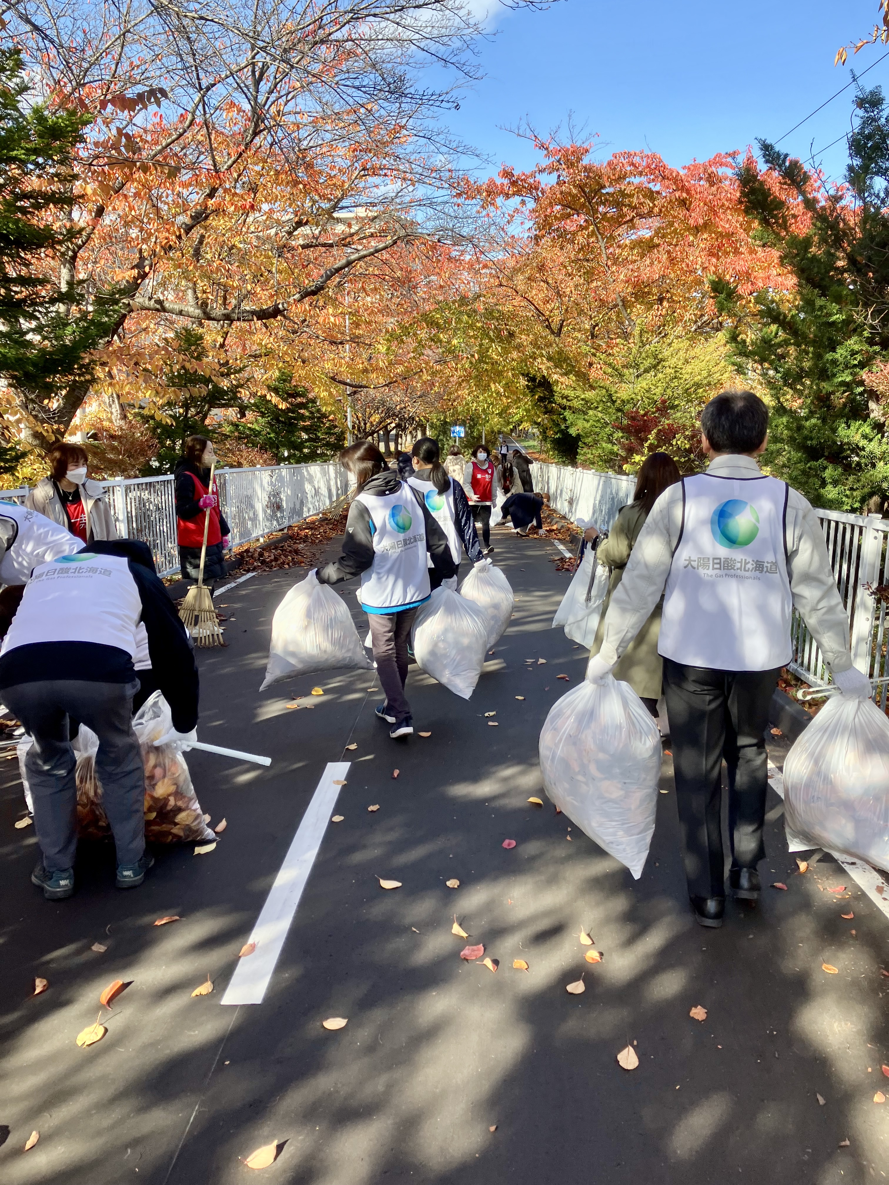 紅葉の中で落ち葉拾い